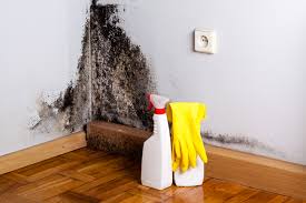 Best Mold Documentation for Insurance Claims  in Waukee, IA